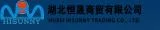 Hubei Hisunny Logo