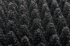 Eccosorb OCF Absorber
